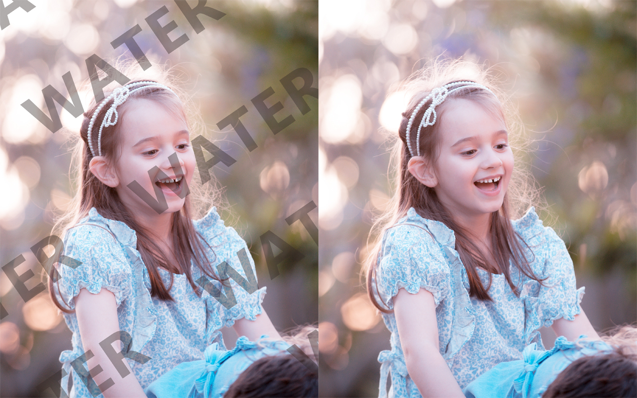 I will do professional Watermark Removal Service